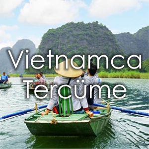 Fiyat Vietnamca Tercme Brosu zmir Yeminli Tercman Vietnamca creti